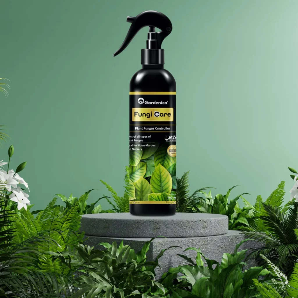 Fungi Care